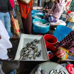 Madaripur Public Market - Madaripur