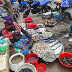 Madaripur Public Market - Madaripur