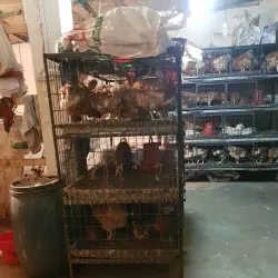 Madaripur Public Market - Madaripur