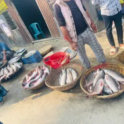 Madaripur Public Market - Madaripur