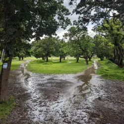 Chandpur Zamindar Bari - Munshiganj