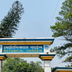 Mymensingh Agricultural University - Mymensingh