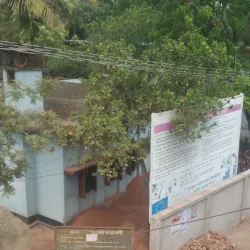 Kalia Upazila Mosque - Narail