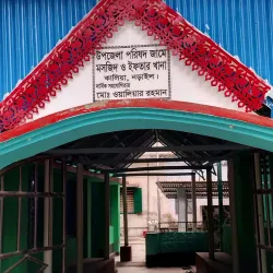 Kalia Upazila Mosque - Narail
