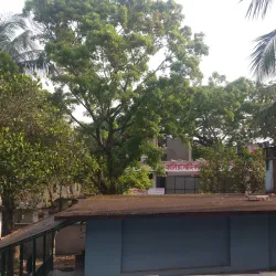 Kalia Upazila Mosque - Narail