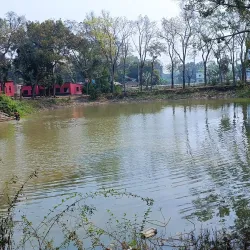 Narail Government College - Narail