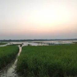 Narail Railway Station - Narail