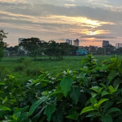 Madhabdi Handloom Village - Narsingdi