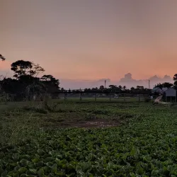 Madhabdi Handloom Village - Narsingdi