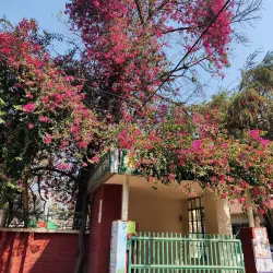 Narsingdi District Museum - Narsingdi