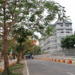Narsingdi Government College - Narsingdi