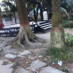 Narsingdi Government College - Narsingdi