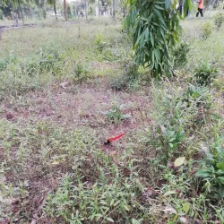 Narsingdi Public Park - Narsingdi