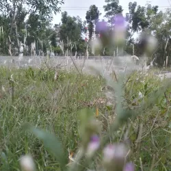 Narsingdi Public Park - Narsingdi