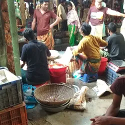 Palash Upazila Market - Narsingdi