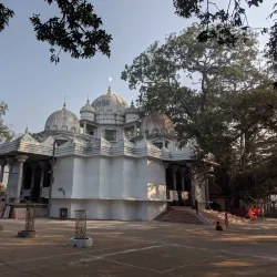 Shree Shree Kali Temple - Narsingdi