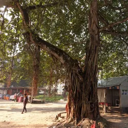 Shree Shree Kali Temple - Narsingdi