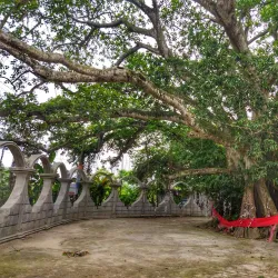 Shree Shree Kali Temple - Narsingdi
