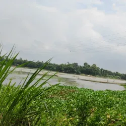 Companiganj Upazila - Noakhali