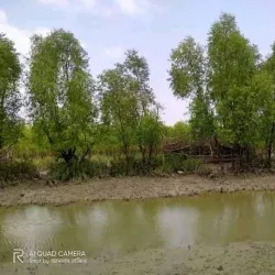 Hatiya Island - Noakhali