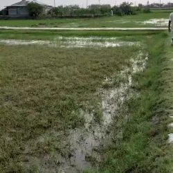 Hatiya Island - Noakhali
