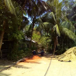 Kabirhat Upazila - Noakhali