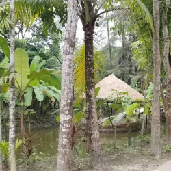 Kabirhat Upazila - Noakhali