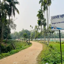 Noakhali District Museum - Noakhali