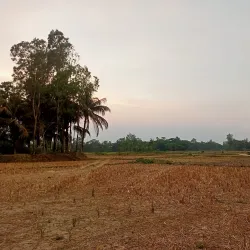 Sonaimuri Upazila - Noakhali