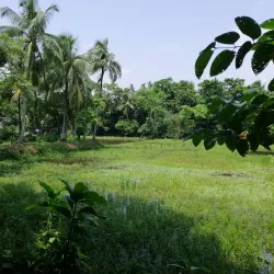 Sonaimuri Upazila - Noakhali