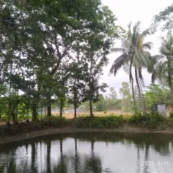 Sonaimuri Upazila - Noakhali