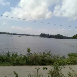 Chalan Beel Wetlands - Rajshahi