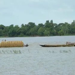 Chalan Beel Wetlands - Rajshahi