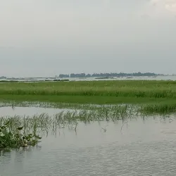 Chalan Beel Wetlands - Rajshahi