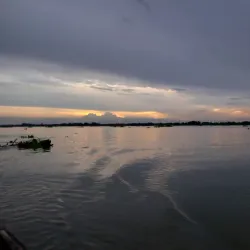 Chalan Beel Wetlands - Rajshahi