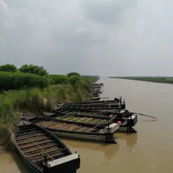 Padma River - Rajshahi