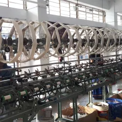 Rajshahi Silk Factory - Rajshahi