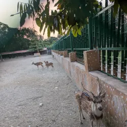 Shaheed A.H.M. Qamaruzzaman Central Park - Rajshahi