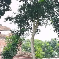Kantajew Temple - Rangpur