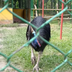 Rangpur Public Park - Rangpur