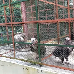 Rangpur Public Park - Rangpur