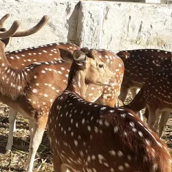 Rangpur Public Park - Rangpur
