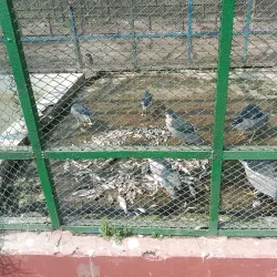 Rangpur Public Park - Rangpur