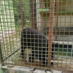 Rangpur Zoo - Rangpur