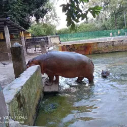 Rangpur Zoo - Rangpur