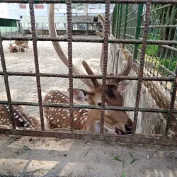 Rangpur Zoo - Rangpur