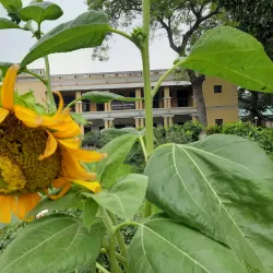 Kachari Bari - Saidpur