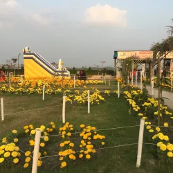 Local Parks and Green Spaces - Saidpur