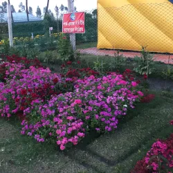 Local Parks and Green Spaces - Saidpur