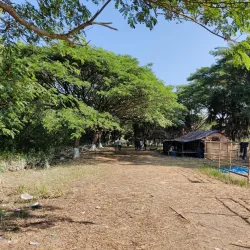 Dublar Char Island - Satkhira